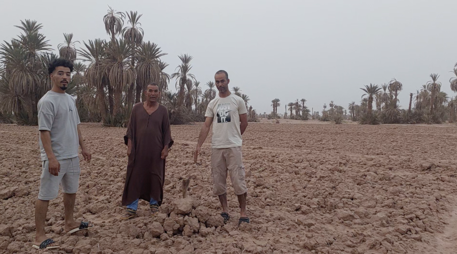 Ismaël, Mohammed et Ali sur le site de construction