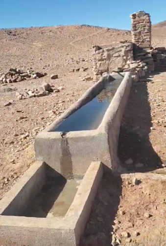 Nouveau bassin abreuvoir de 6 m x 1 m