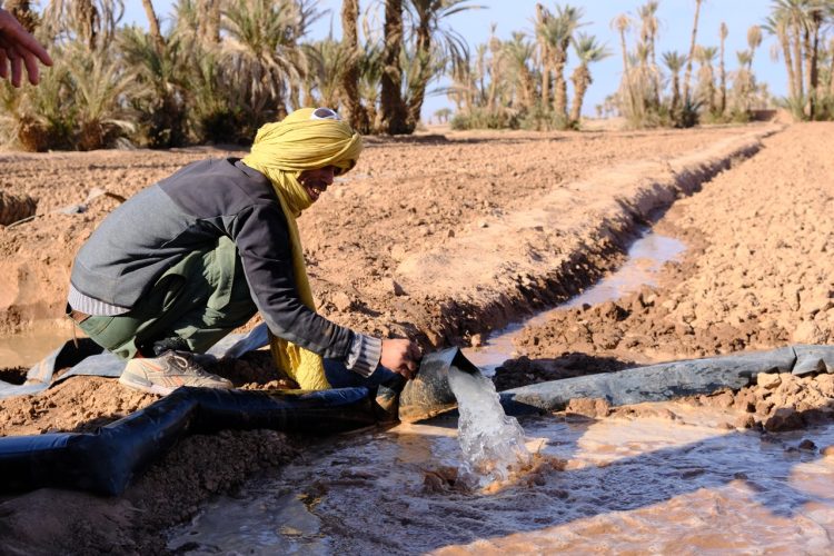 L'eau est pompée hors du puits pour irriguer.